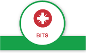 bits